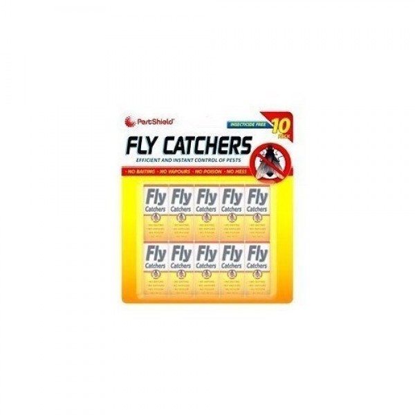 Fly Catcher
